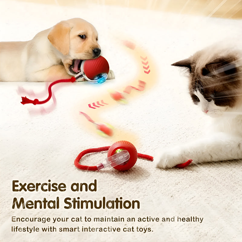 Interactive Dog and Cat Toy Ball – Smart Automatic Rolling Pet Toy with Obstacle Avoidance, Rechargeable and Durable