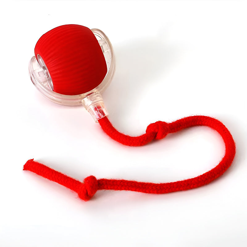 Interactive Dog and Cat Toy Ball – Smart Automatic Rolling Pet Toy with Obstacle Avoidance, Rechargeable and Durable