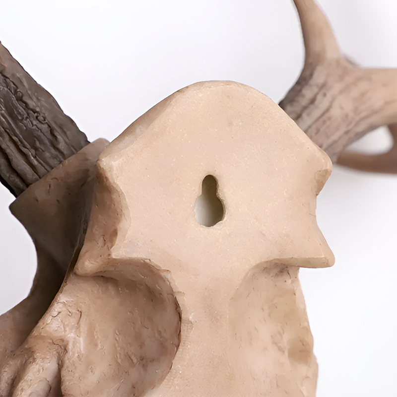 Antique-Style Buck Horn Skull Wall Decor - Rustic Resin Hunting Ornament