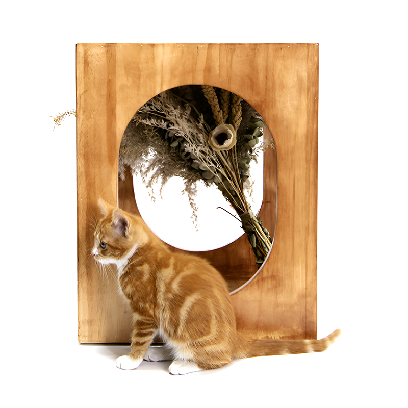 Modern Solid Wood Side Table with Hidden Cat Bed – Nordic Style Furniture for Living Room or Bedroom