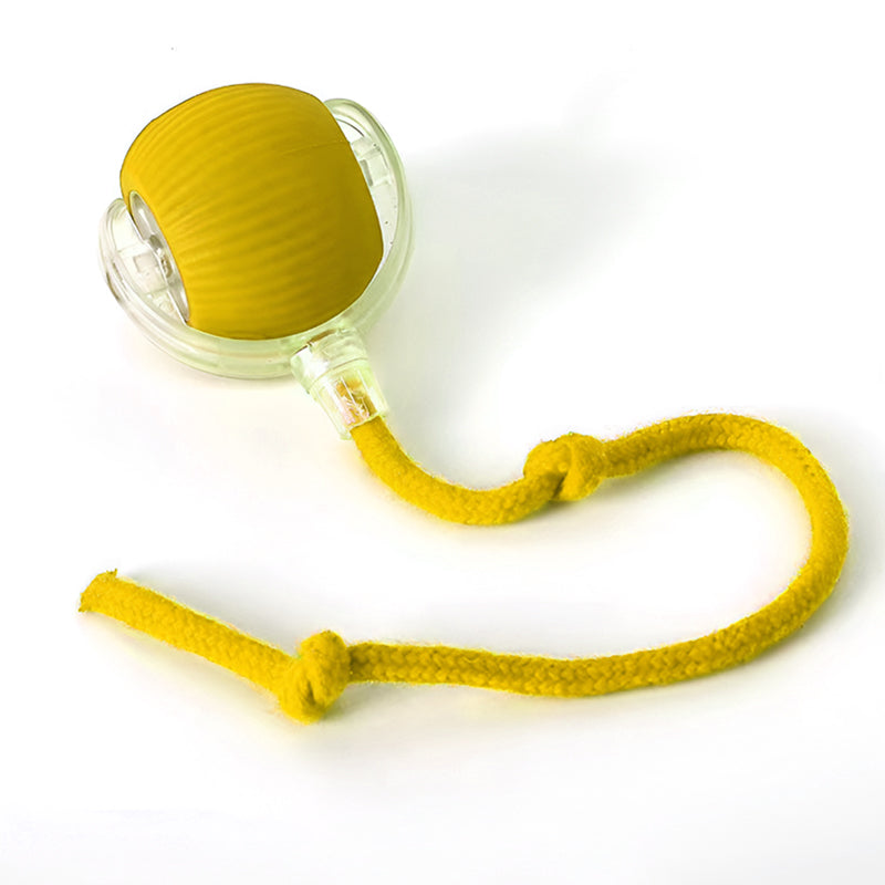 Interactive Dog and Cat Toy Ball – Smart Automatic Rolling Pet Toy with Obstacle Avoidance, Rechargeable and Durable