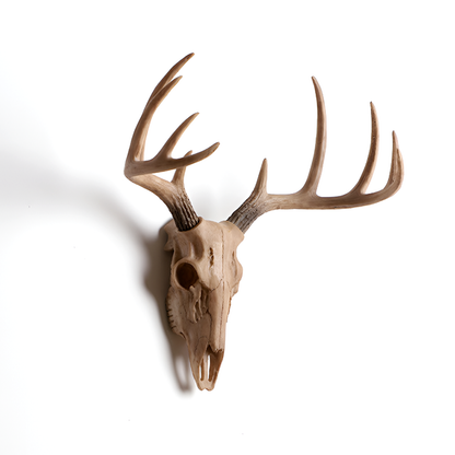 Antique-Style Buck Horn Skull Wall Decor - Rustic Resin Hunting Ornament
