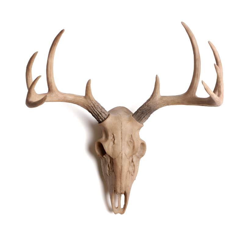 Antique-Style Buck Horn Skull Wall Decor - Rustic Resin Hunting Ornament