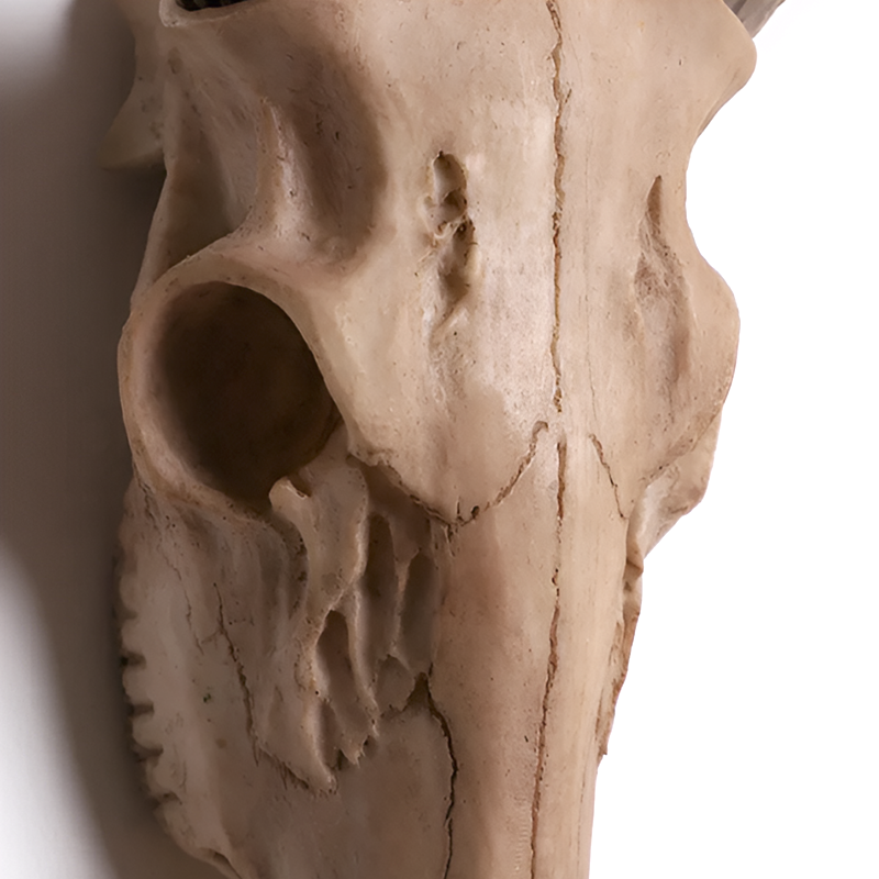 Antique-Style Buck Horn Skull Wall Decor - Rustic Resin Hunting Ornament