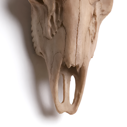 Antique-Style Buck Horn Skull Wall Decor - Rustic Resin Hunting Ornament