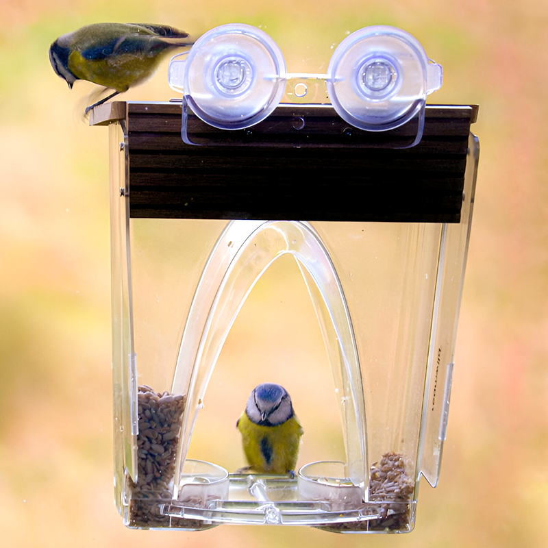 Clear View Window Bird Feeder – Large 4LB Capacity - Easy Fill & Clean - Weatherproof with Strong Suction Cups