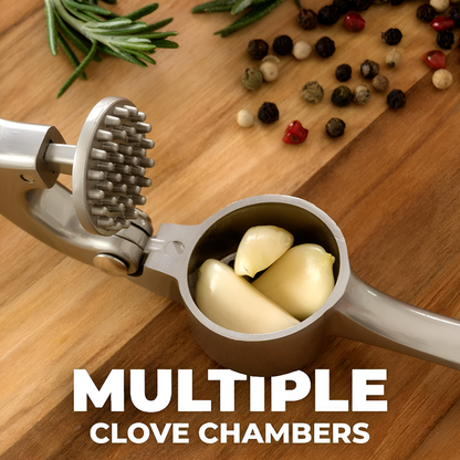 Premium Garlic Press Set – Zinc Alloy Stainless Steel Crusher with Peeler and Cleaning Brush