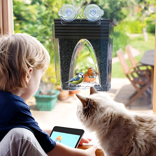 Clear View Window Bird Feeder – Large 4LB Capacity - Easy Fill & Clean - Weatherproof with Strong Suction Cups