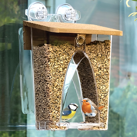 Clear View Window Bird Feeder – Large 4LB Capacity - Easy Fill & Clean - Weatherproof with Strong Suction Cups